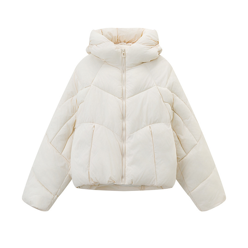 b3080552 12f4 4bd9 b923 294d2117975d.jpg b3080552 12f4 4bd9 b923 294d2117975d.jpg